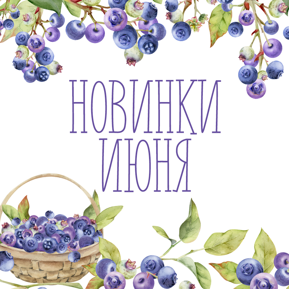 Новинки июня 2025 Новинки июня 2025